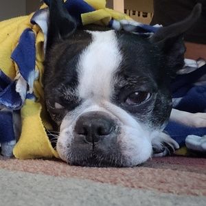 Meet your Posher, Robin